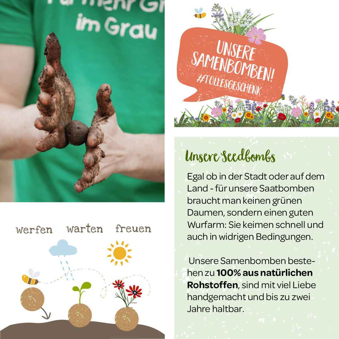 Bienenwohl Samenbomben Die Stadgärtner