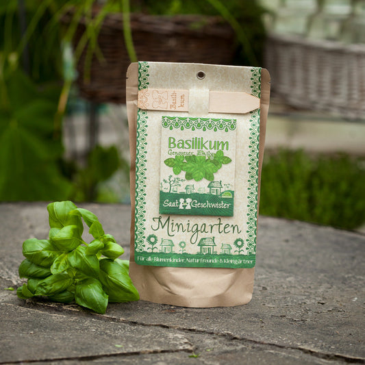 Basilikum im Beutel Die Stadgärtner