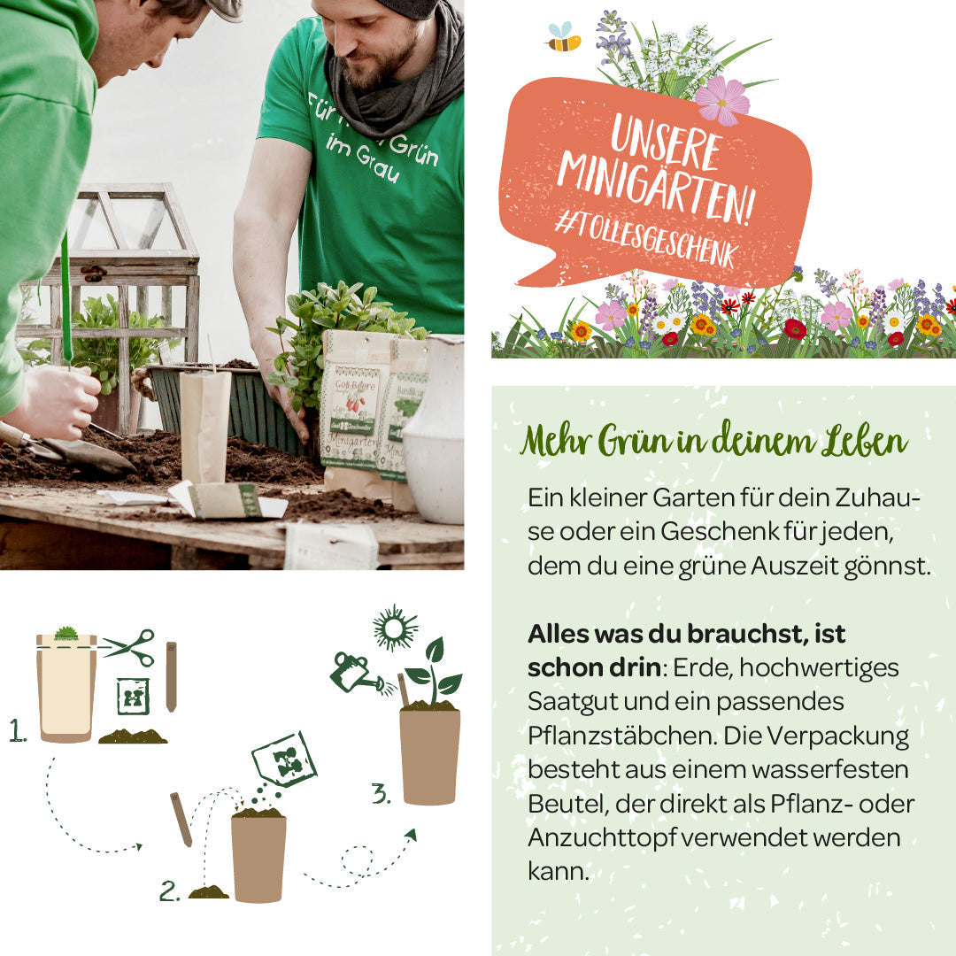 Chili im Beutel Die Stadgärtner