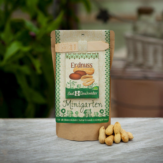 Erdnussbaum im Beutel Stadgärtner