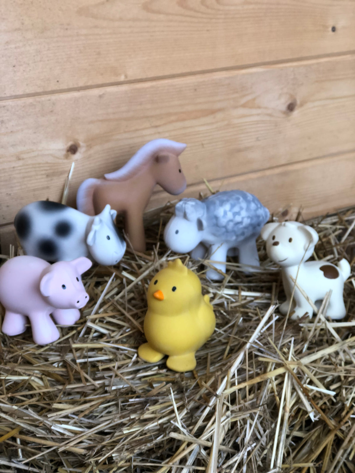 Beissring Kuh aus Naturkautschuk