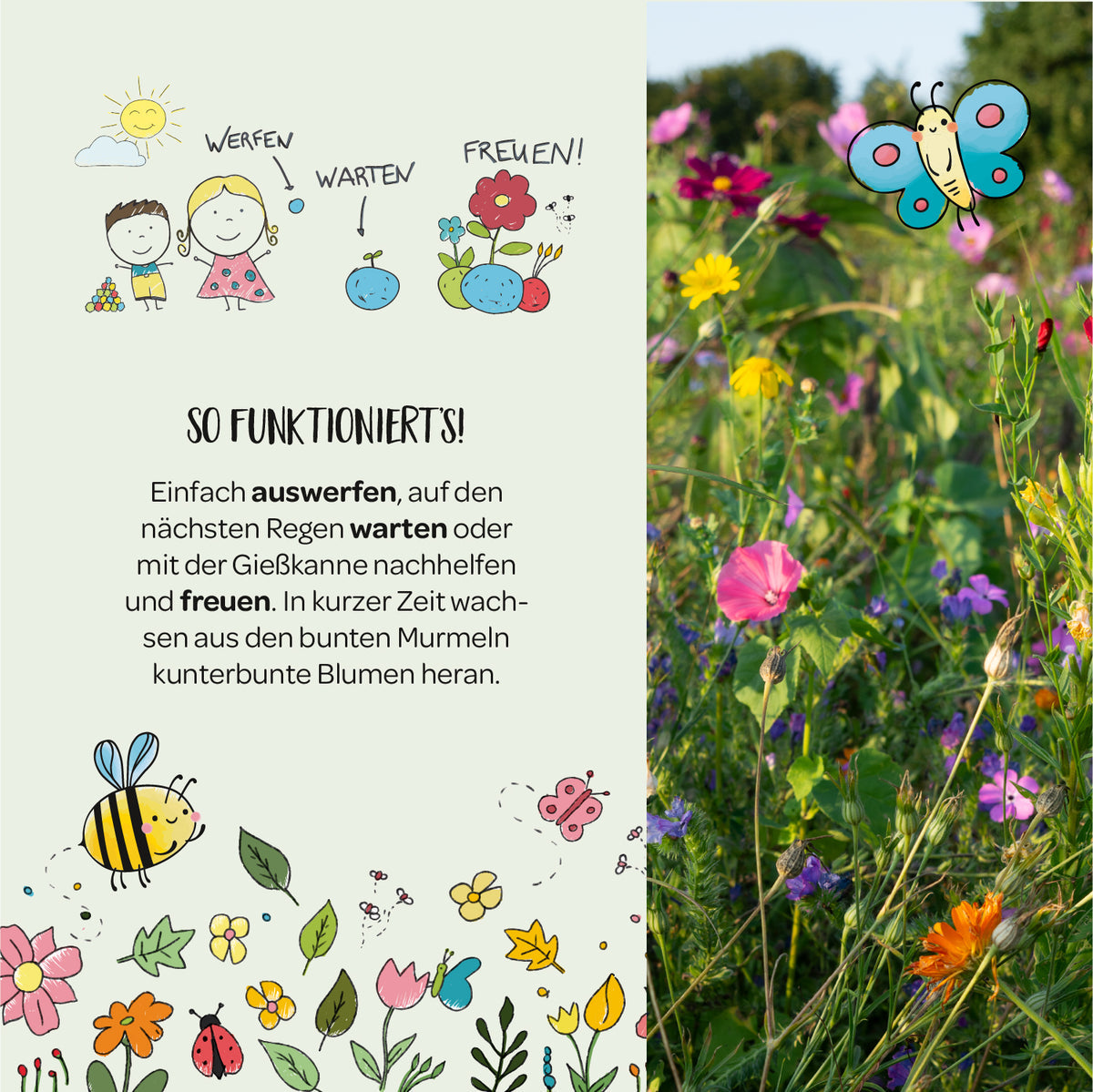 1er Blumenmurmel 'Ellas Duftgarten'