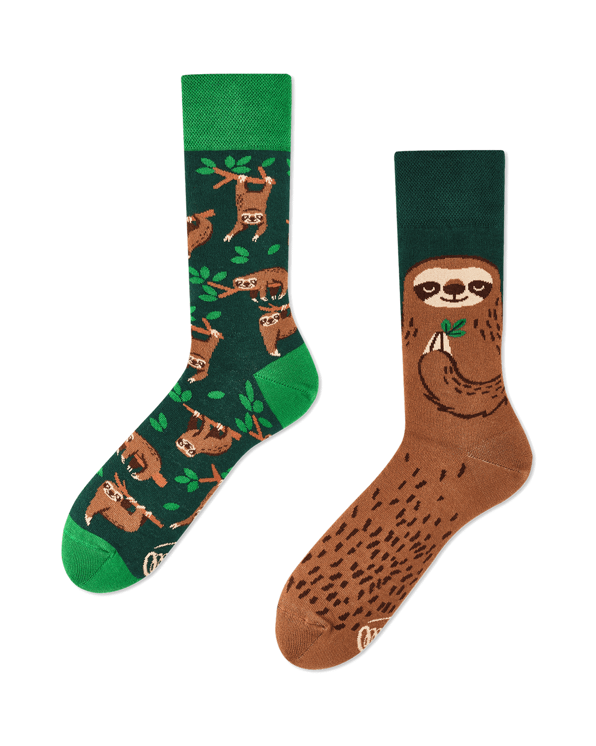 La vita del bradipo Socken molte mattine
