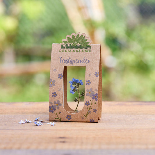 Trostspender Vergissmeinnicht Die Stadgärtner