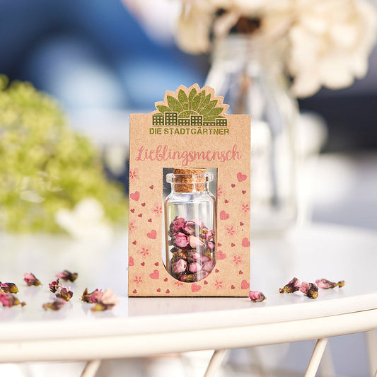 Kleine Rosen im Glas Die Stadgärtner