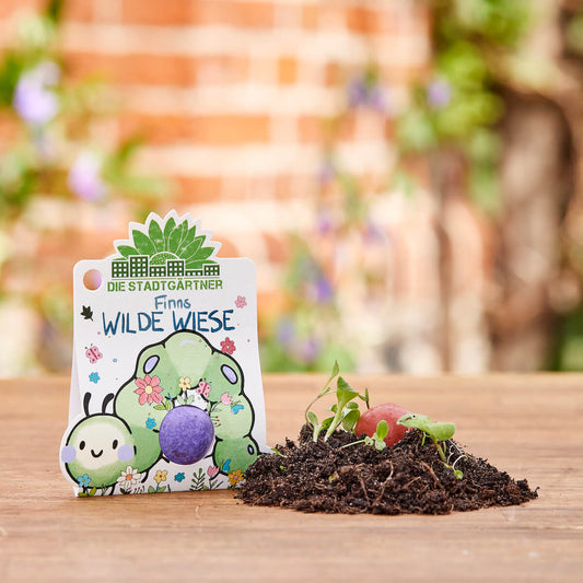 Blumenmurmel Stadtgärtner Die Stadgärtner