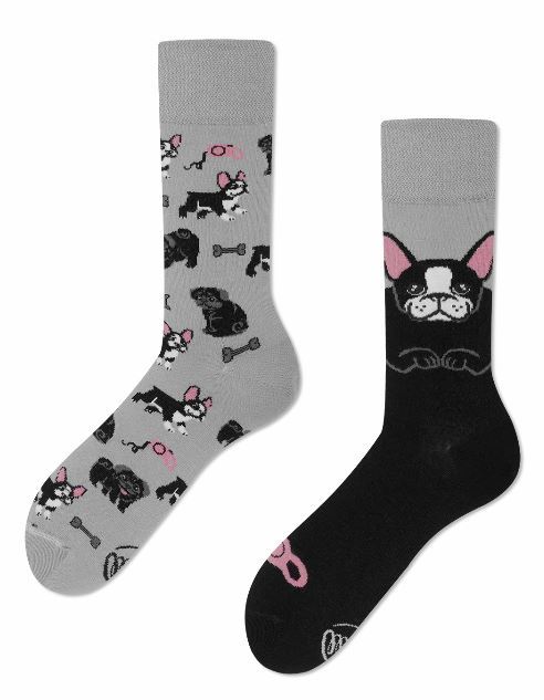 Tiny Little Dogs Many Mornings