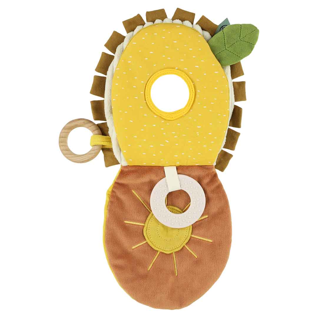 Gefühlsbuch - Mr. Lion Trixie