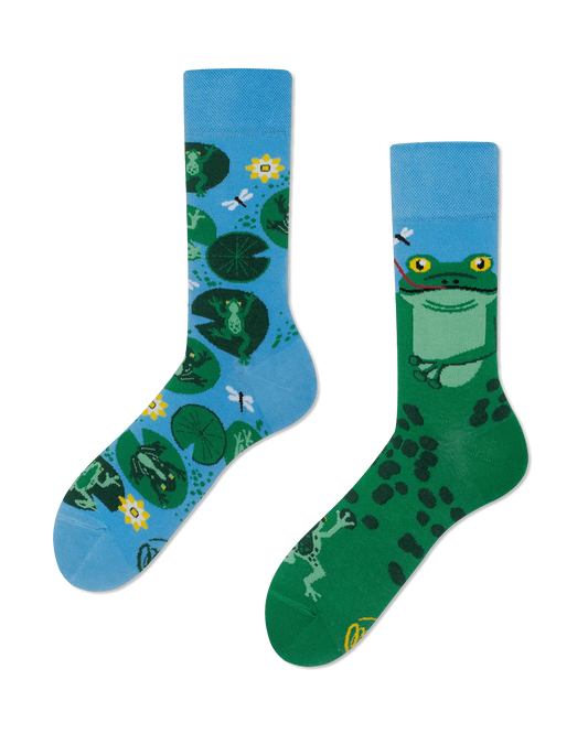 Froggy Frog Socken für Erwachsene