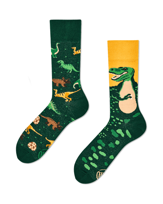 The Dinosaurs Socken für Kinder und Erwachsene