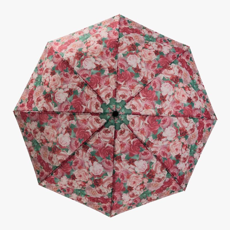 Regenschirm