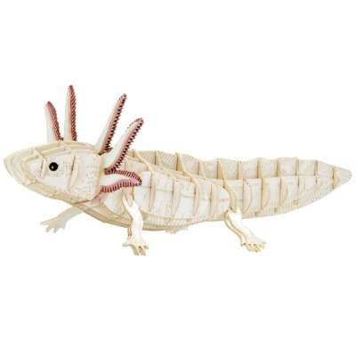 Chamäleon 3D-Papiermodel Fridolin