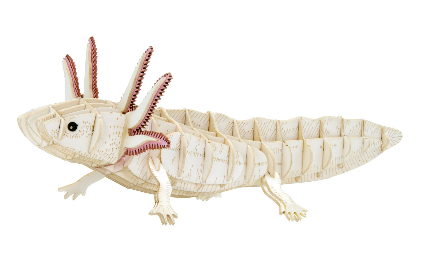 Chamäleon 3D-Papiermodel Fridolin
