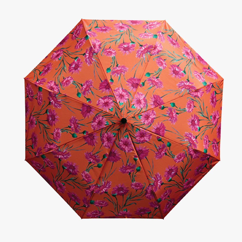 Regenschirm