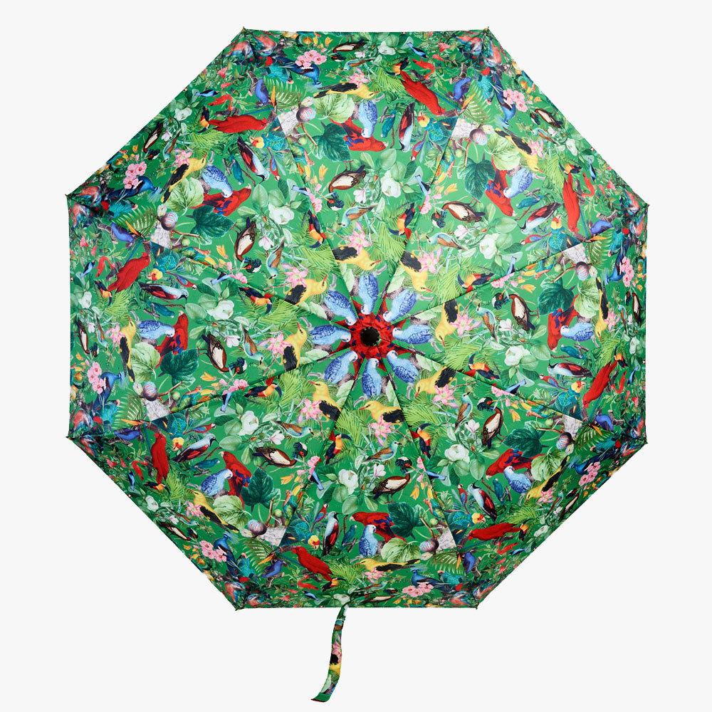 Regenschirm